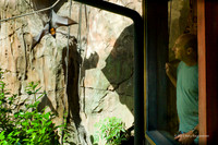 DisneyWorld 2011-1002743